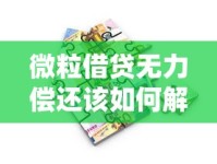 微粒借贷无力偿还该如何解决？实用应对方案解析
