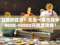 有驾照就能贷？无车一族也能申请8000-50000元额度攻略！