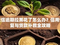征信逾期拉黑花了怎么办？信用修复与贷款补救全攻略