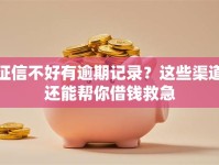 征信不好有逾期记录？这些渠道还能帮你借钱救急