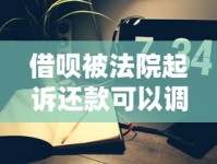 借呗被法院起诉还款可以调解吗？调解流程与注意事项解析