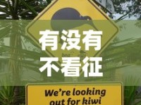 有没有不看征信的车贷？这几种方式或许能帮你轻松购车