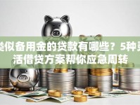 类似备用金的贷款有哪些？5种灵活借贷方案帮你应急周转