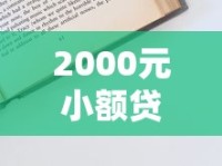 2000元小额贷款申请攻略：快速到账技巧分享