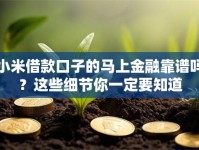 小米借款口子的马上金融靠谱吗？这些细节你一定要知道