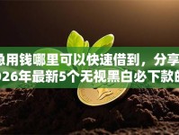急用钱哪里可以快速借到，分享2026年最新5个无视黑白必下款的网贷平台