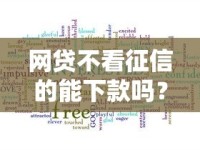 网贷不看征信的能下款吗？这些关键信息别错过！