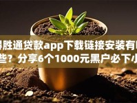 得胜通贷款app下载链接安装有哪些？分享6个1000元黑户必下小贷