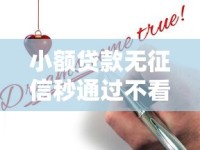 小额贷款无征信秒通过不看征信？这些申请技巧助你快速下款