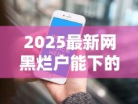 2025最新网黑烂户能下的口子有哪些？实测推荐这5个平台！