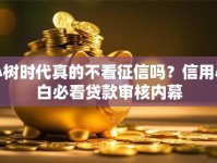 小树时代真的不看征信吗？信用小白必看贷款审核内幕