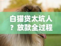 白猫贷太坑人？放款全过程曝光！这些细节不注意可能吃大亏