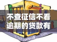 不查征信不看逾期的贷款有哪些？这几种方式你一定要知道