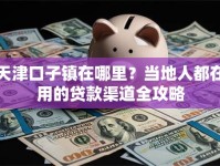 天津口子镇在哪里？当地人都在用的贷款渠道全攻略