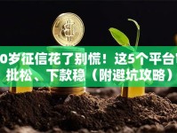 20岁征信花了别慌！这5个平台审批松、下款稳（附避坑攻略）