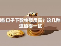 哪些口子下款快额度高？这几种渠道值得一试