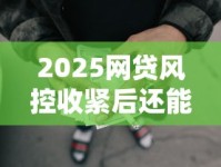 2025网贷风控收紧后还能找哪些渠道借钱？这5种方式靠谱！
