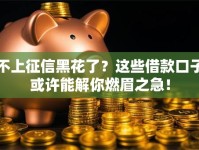 不上征信黑花了？这些借款口子或许能解你燃眉之急！