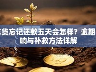 车贷忘记还款五天会怎样？逾期影响与补救方法详解
