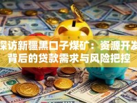 探访新疆黑口子煤矿：资源开发背后的贷款需求与风险把控