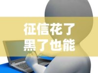 征信花了黑了也能贷款？这几家靠谱平台真实下款经验分享！