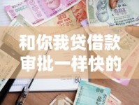 和你我贷借款审批一样快的贷款平台还有哪些能轻松过审