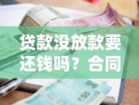 贷款没放款要还钱吗？合同陷阱与法律责任深度解析