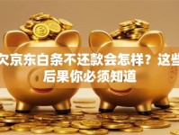 欠京东白条不还款会怎样？这些后果你必须知道