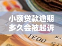 小额贷款逾期多久会被起诉？一文说清法律标准与应对策略
