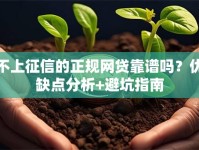 不上征信的正规网贷靠谱吗？优缺点分析+避坑指南
