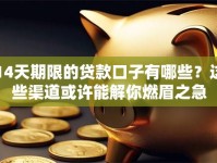 14天期限的贷款口子有哪些？这些渠道或许能解你燃眉之急