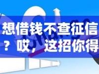 想借钱不查征信？哎，这招你得知道！