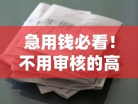 急用钱必看！不用审核的高炮口子借款真相全解析