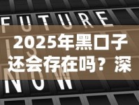 2025年黑口子还会存在吗？深度解析贷款市场走向