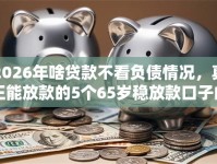 2026年啥贷款不看负债情况，真正能放款的5个65岁稳放款口子的年龄要求推荐