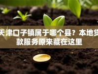 天津口子镇属于哪个县？本地贷款服务原来藏在这里