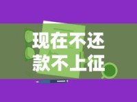 现在不还款不上征信怎么办？后果与补救方法全解析