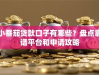 小番茄贷款口子有哪些？盘点靠谱平台和申请攻略