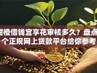 甜橙借钱宜享花审核多久？盘点7个正规网上贷款平台给你参考