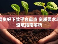 网贷好下款平台盘点 资质要求与避坑指南解析