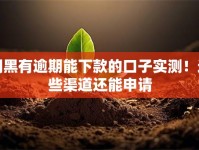 网黑有逾期能下款的口子实测！这些渠道还能申请