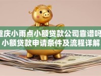 重庆小雨点小额贷款公司靠谱吗？小额贷款申请条件及流程详解