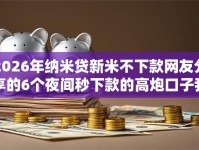 2026年纳米贷新米不下款网友分享的6个夜间秒下款的高炮口子我觉得不错！