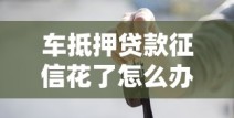 车抵押贷款征信花了怎么办？解决征信问题的实用指南