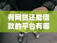 有网贷还能借款的平台有哪些？这5个审核门槛低的渠道别错过