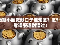 最新小额贷款口子谁知道？这5个靠谱渠道别错过！