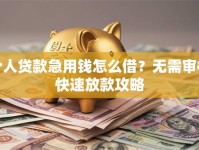 个人贷款急用钱怎么借？无需审核快速放款攻略