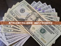 黑户可以在哪个平台上借到钱？揭秘几个可行借款平台