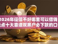 2026年征信不好哪里可以借钱？盘点十大靠谱双黑户必下款的口子2025