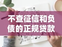 不查征信和负债的正规贷款靠谱吗？安全风险全解析